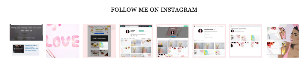 FashionID Feminine WordPress Theme Instagram