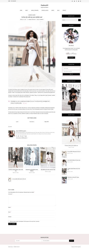 FashionID Feminine WordPress Theme Single Post