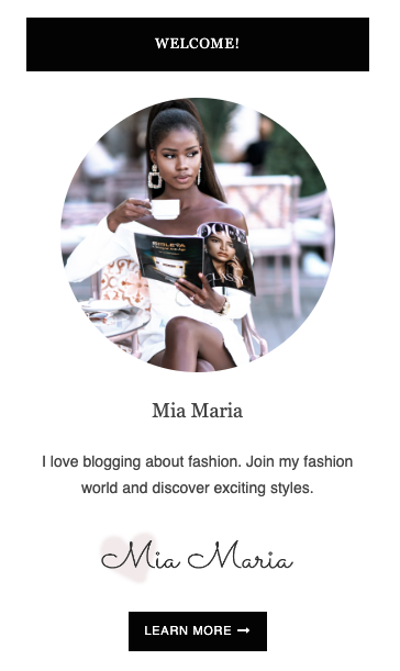 FashionID Feminine WordPress Theme Sidebar Author